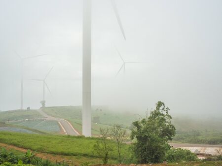 Wind-time on the mountain of Thailandの写真素材