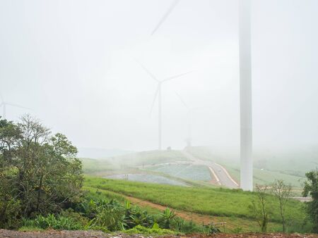 Wind-time on the mountain of Thailandの写真素材