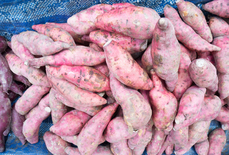 Close up Sweet Potatoの写真素材