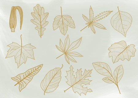 Set of sheets of different shapes, size, edges and nerves. In one ink, giving the appearance of being handmade or drawn, for use in any project.のイラスト素材