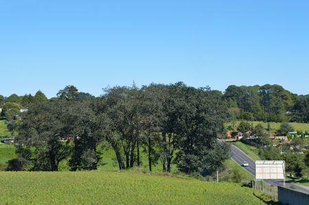Road photo for your rural projects or transportation publications.の写真素材