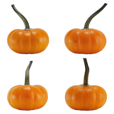 Pumpkin photos for your seasonal projects or vegetables publications. の写真素材