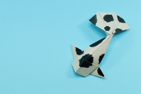 Origami koi fish for your asian projects or leisure publications. 
の写真素材