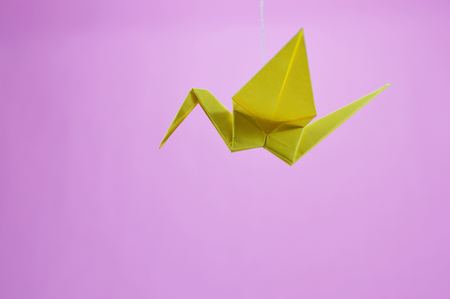 Origami crane photo for your Asia projects or craft publications.の写真素材