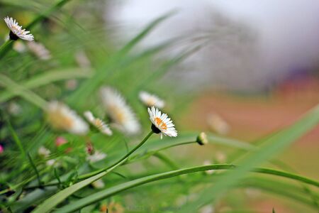 Night light, Temples, Night cityの素材