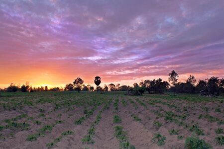 Sunset and twilightの素材