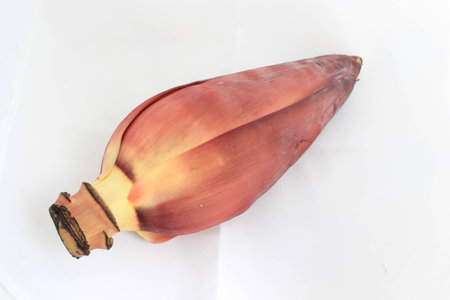 banana blossom isolated on whiteの写真素材