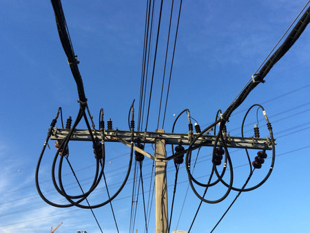 On the electrical concrete poleの写真素材