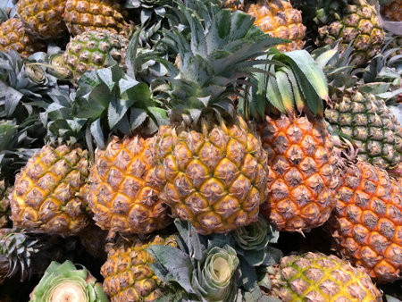 A lot of pineapple fruit backgroundの写真素材