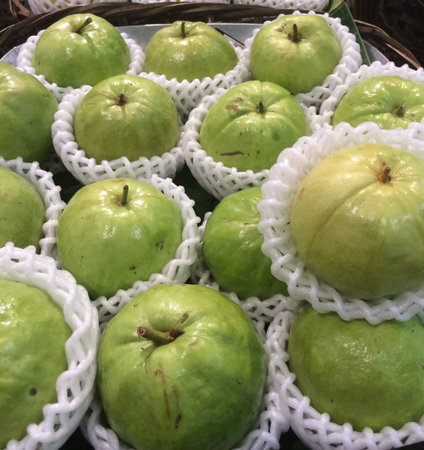 green guavaの写真素材