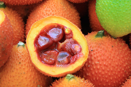 gac fruit healthy fruitの写真素材