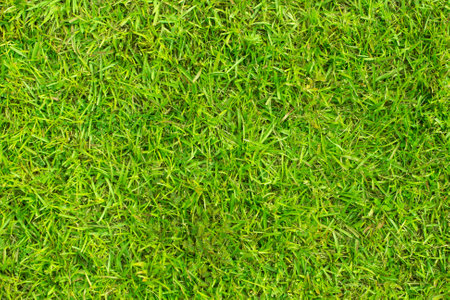 green grass