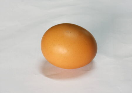 egg on white