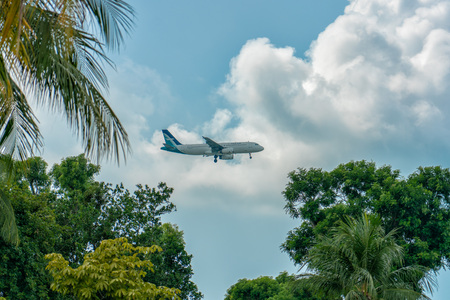 Silk Air, airbus 320 landing between the trees at Changi Airport in Singapore