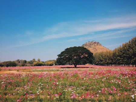 The gardensの素材