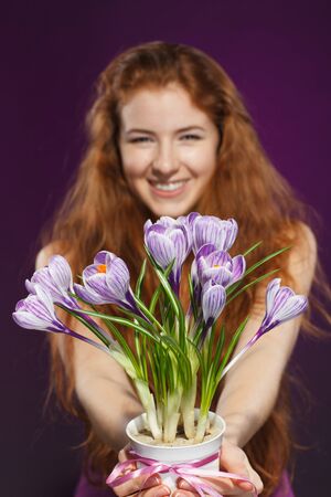 Happy female giving flowers crocuses  Shallow deep of field  Focus on flowers の写真素材