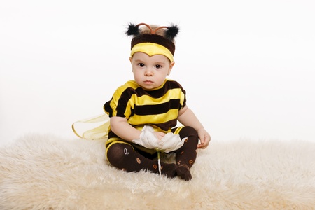 Baby earing bee costume sitting on the floor, holding flower, on white backgroundの写真素材