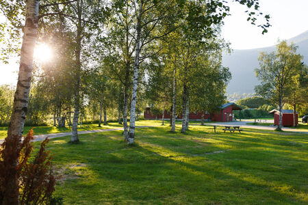 Sunset in camping. Sun rays lighting the camping through birch leaves, Norwayの写真素材