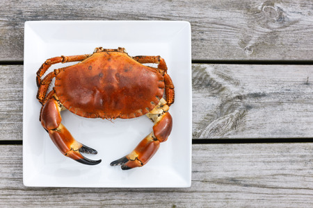Cooked crab top view on white plate on a wooden backgroundの写真素材