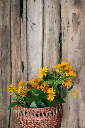 A bunch of wild yellow flowers in wicker basket over rustic weathered wooden backgroundの写真素材