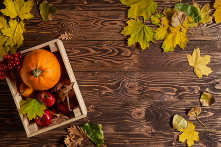 Autumn fruits and vegetables over wooden background, top view, flat layの写真素材