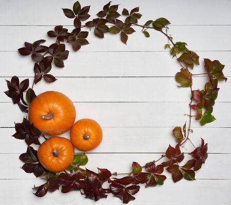 Autumn card. Red leaves and orange pumpkins creating a round wreath on white wooden planksの写真素材