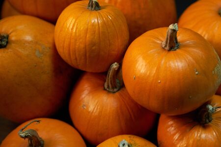 Heap of many orange pumpkins closeup, Halloween conceptの写真素材