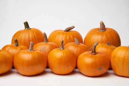 Orange halloween pumpkins standing in line on white background, front viewの写真素材