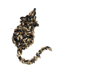 Mouse shape made of sunflower seeds husks, top view on white backgroundの写真素材