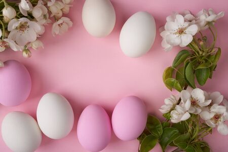 Easter eggs with branch of apple tree bloom on pink backgroundの写真素材