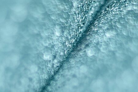 Very macro abstract blue background blurred with many bokehの写真素材