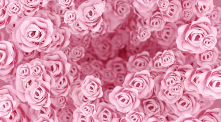 Pink roses background with shallow depth of fieldの写真素材