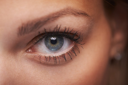 Closeup macro shot of human teenager female eye. Woman with natural face beauty makeup.の写真素材