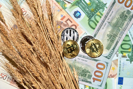 Ripe wheat on scattered bank notes of US dollars and EU euro and cryptocurrency symbol coins, top viewの写真素材