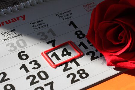 red rose lay on the calendar with the date of February 14 Valentine's dayの写真素材
