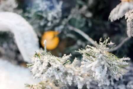 Close-up. Christmas lights on sprig of Christmas tree. blurred backgroundの写真素材