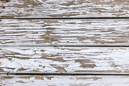 Light gray wooden background. Wooden background, painted surface of the old gray boards. Weathered gray wood texture. Horizontal planks の写真素材