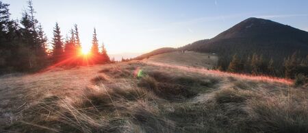 Panorama alpine landscape,  mountain peak and meadow  in sun rays. Spring  landscape mountains and...