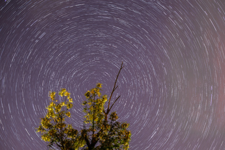 north celestial pole star rotation