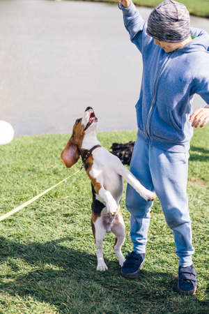 happy boy in a blue tracksuit and gray hat plays with a beagle puppy on a green lawn against the backdrop of a clear lake on a sunny clear dayの写真素材