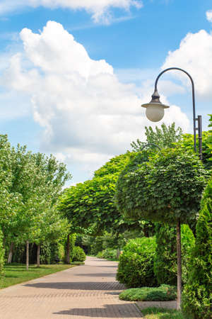 Sidewalk path in the park on a sunny summer morning among green treesの写真素材