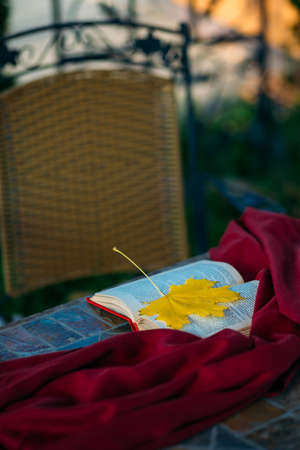 A book with a yellow maple leaf lies on the table in the garden.の写真素材