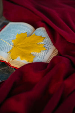 A book with a yellow maple leaf lies on a red blanket.の写真素材