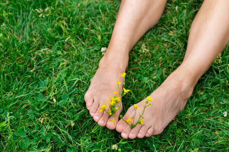 Barefoot female feet with yellow wildflowers between the toes against the background of green grass...
