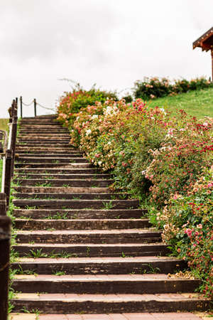 beautiful bright flowers along the wooden stairs leading to the houseの写真素材