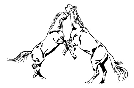 fighting horses - black and white outlineのイラスト素材