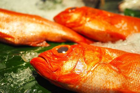 Close up of red snapper fish on ice in a market.の写真素材
