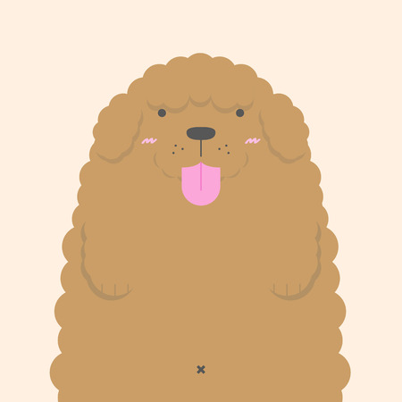 cute big fat white Poodle dog on nude color backgroundのイラスト素材