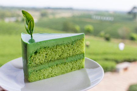 Japannese  dessert - Japannese matcha green tea cake on white disk with green tea farm backgroundの写真素材