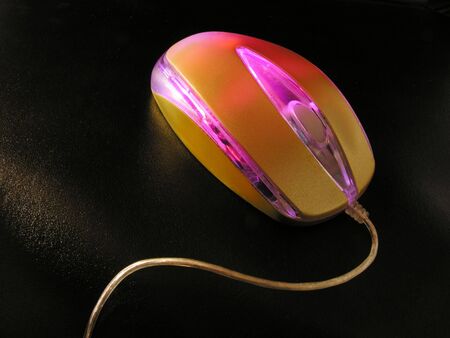 mouse on darkの写真素材